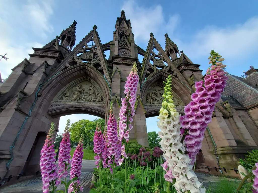 romantic spots in brooklyn